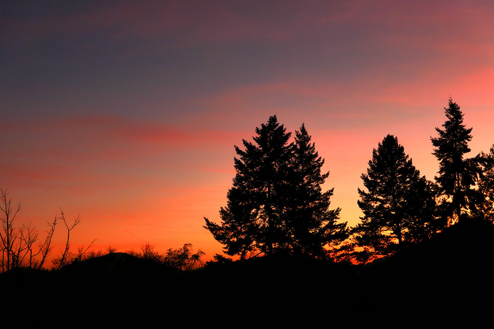 Abenddämmerung über dem Pfälzerwald Abenddämmerung über dem Pfälzerwald