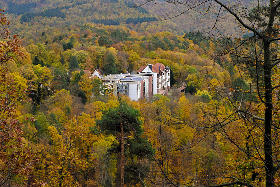 Blick auf die Klinik umgeben von Wald Blick auf die Klinik umgeben von Wald