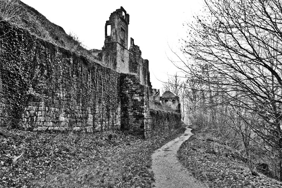 Burg Neuscharfeneck Burg Neuscharfeneck