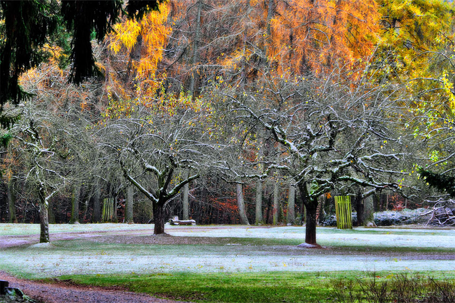 Der winterliche Wild- und Wanderpark in Silz Der winterliche Wild- und Wanderpark in Silz